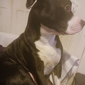 Meet your Posher, Gabriel